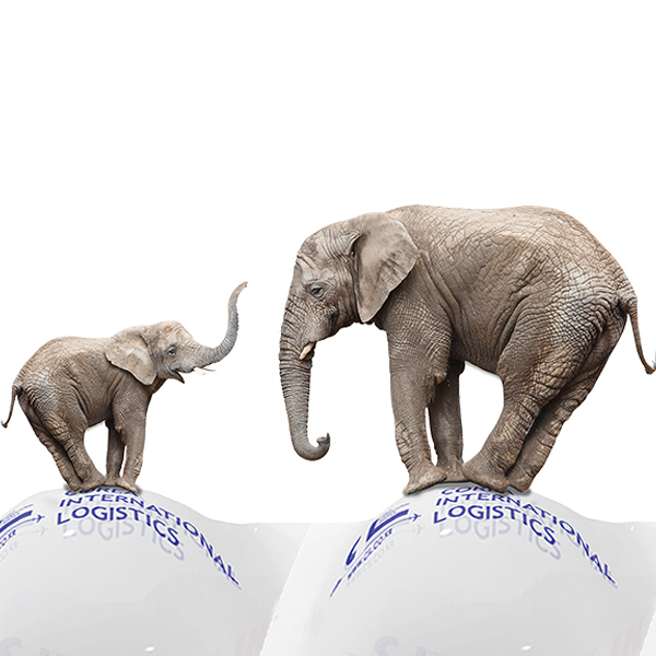 완충용 킹 버블